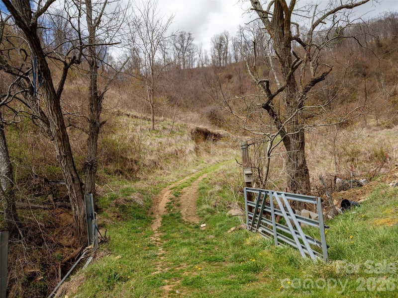 TBD Wilson Cove Rd, Canton, NC 28716