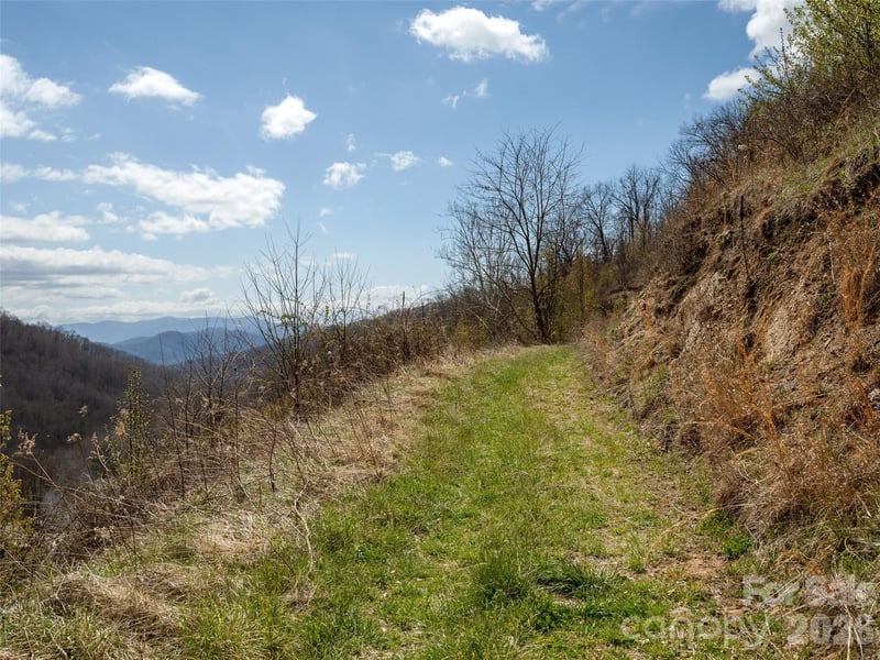 TBD Wilson Cove Rd, Canton, NC 28716