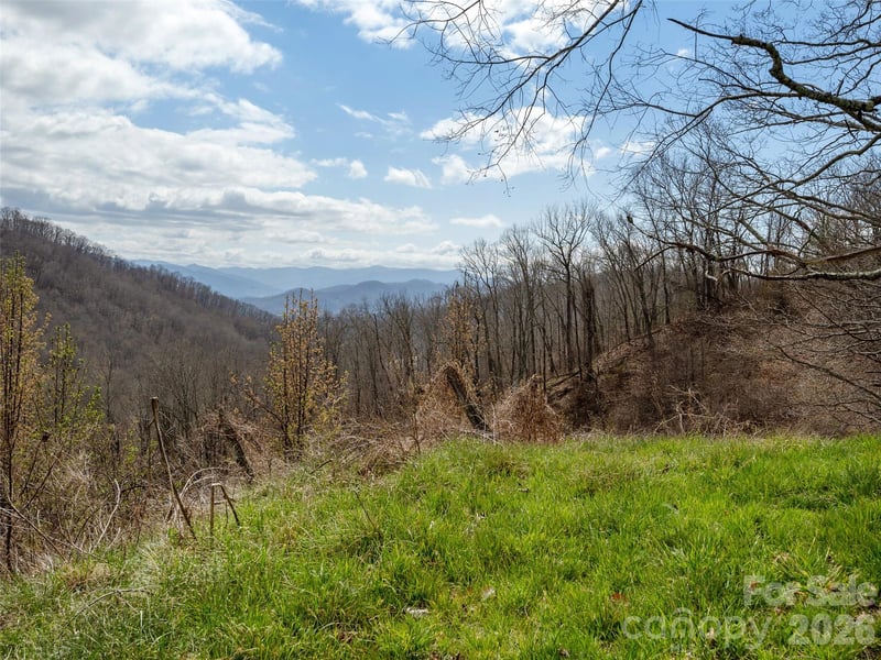 TBD Wilson Cove Rd, Canton, NC 28716