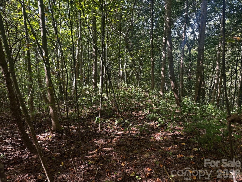 Clear Creek Trl, Lake Lure, NC 28746