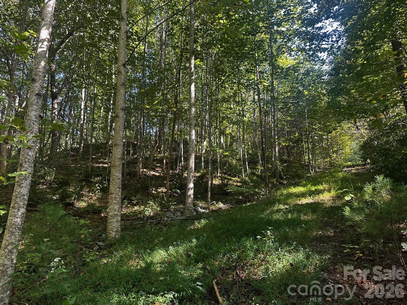Clear Creek Trl, Lake Lure, NC 28746