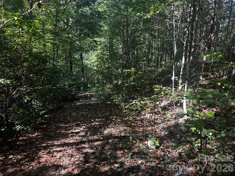 Clear Creek Trl, Lake Lure, NC 28746