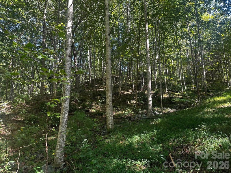 Clear Creek Trl, Lake Lure, NC 28746