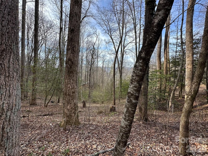 440 Holly Falls Ln, Sylva, NC 28779
