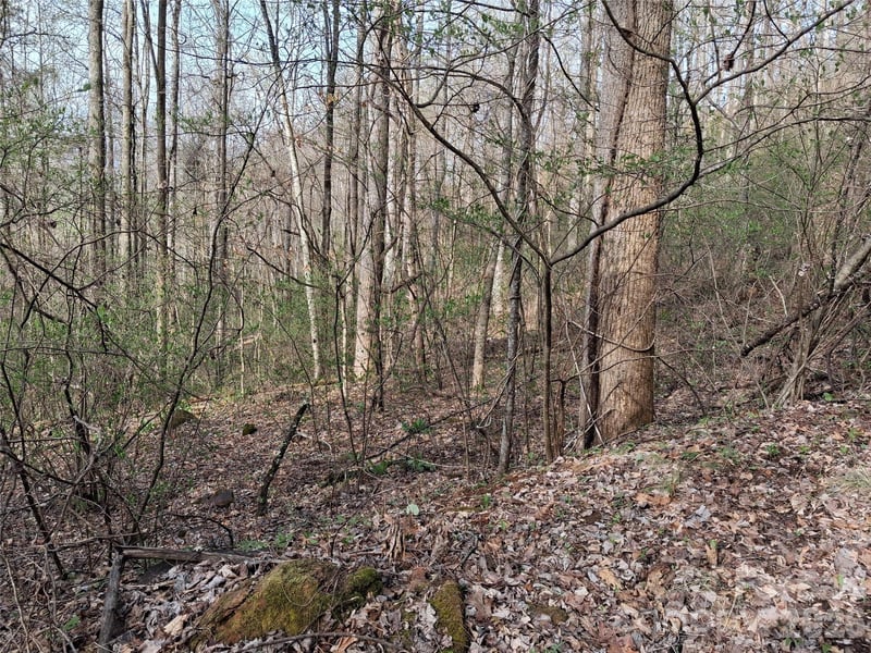 TBD Bel Air Rd #18-19, 21, 23,27-28,31-33, Cullowhee, NC 28723