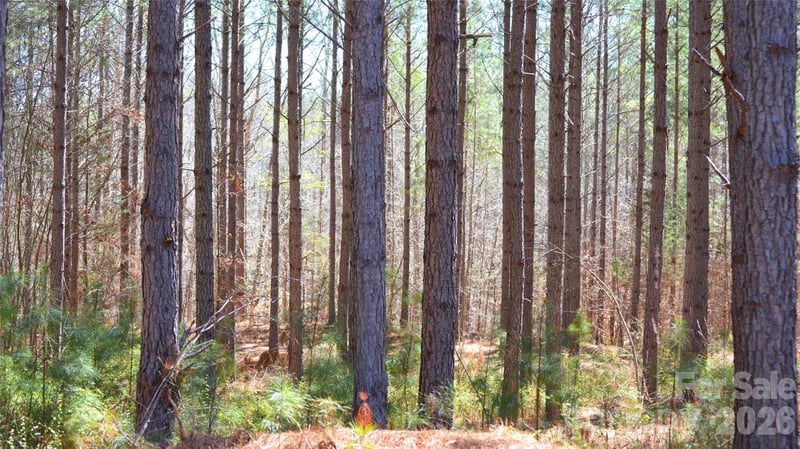 00 Bobby Faucette Rd #7, Jonesville, SC 29353