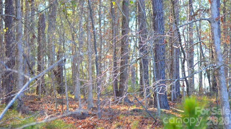 00 Bobby Faucette Rd #7, Jonesville, SC 29353