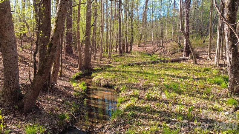 00 Bobby Faucette Rd #9, Jonesville, SC 29353