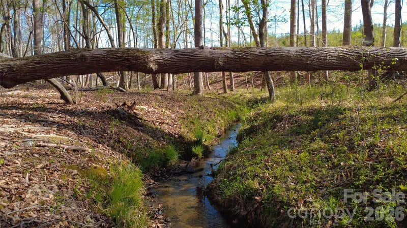 00 Bobby Faucette Rd #9, Jonesville, SC 29353