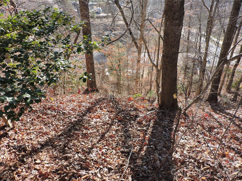 10 Whitman Ln #41, Black Mountain, NC 28711