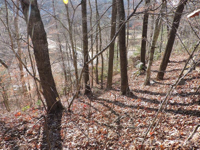 10 Whitman Ln #41, Black Mountain, NC 28711