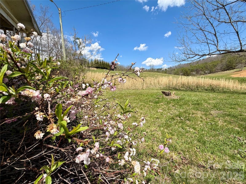 637 Fletcher Martin Rd, Alexander, NC 28701