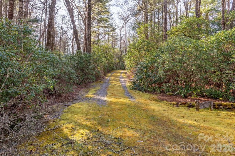 TRP 1 Cardinal Dr, Lake Toxaway, NC 28747
