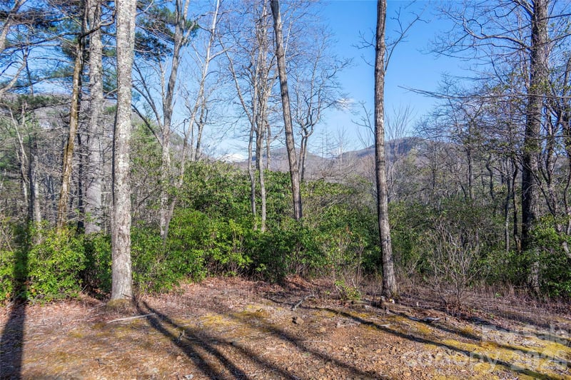 TRP 1 Cardinal Dr, Lake Toxaway, NC 28747