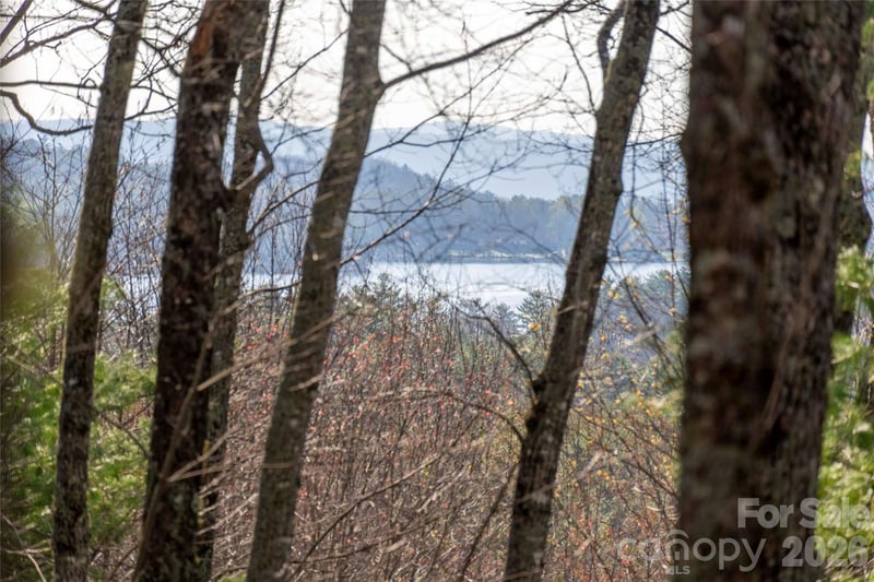 TRP 1 Cardinal Dr, Lake Toxaway, NC 28747