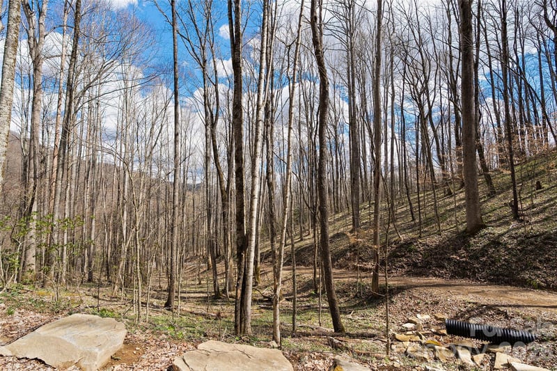 23 Forbidden Cv, Waynesville, NC 28785