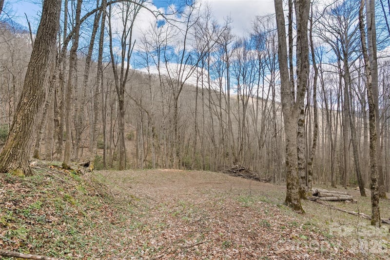 23 Forbidden Cv, Waynesville, NC 28785