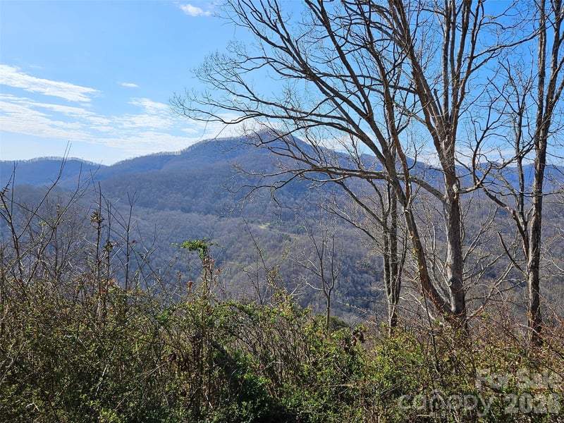 989 High Rock View Dr, Canton, NC 28716