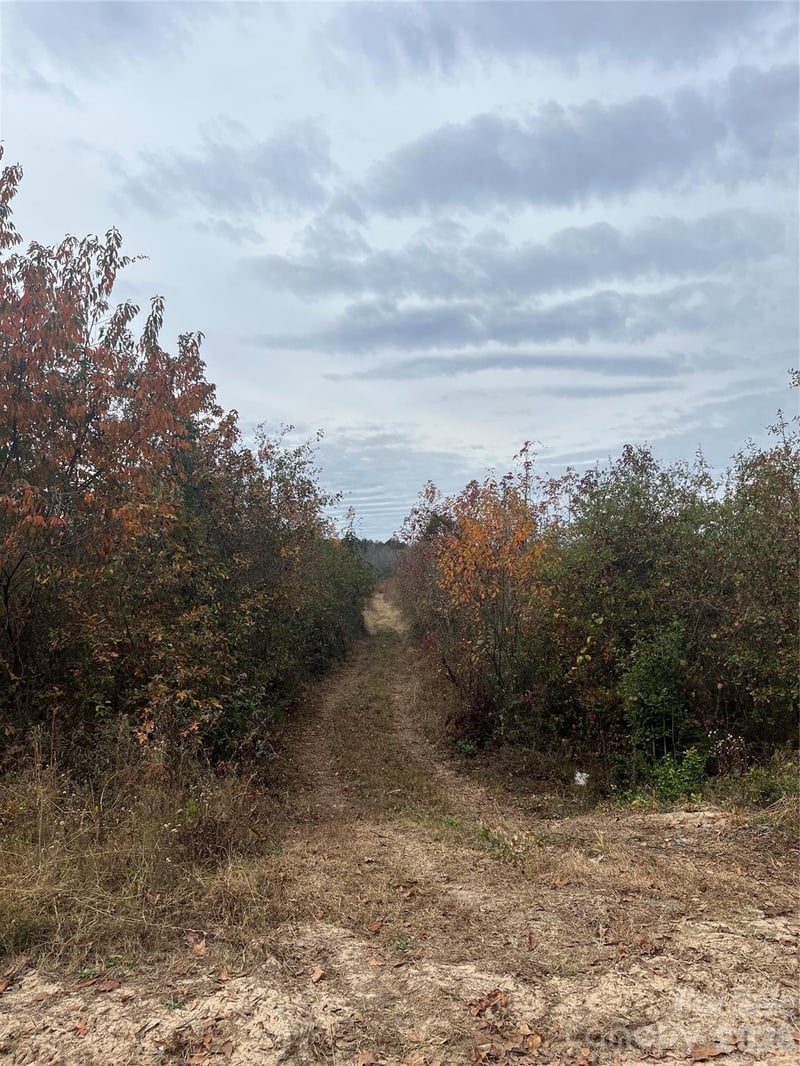 TBD Wire 2 Rd, Cheraw, SC 29520