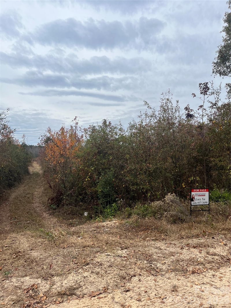 TBD Wire 2 Rd, Cheraw, SC 29520