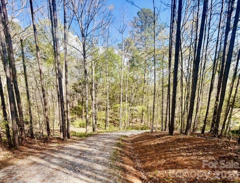 Peden Bridge Rd, Chester, SC 29706