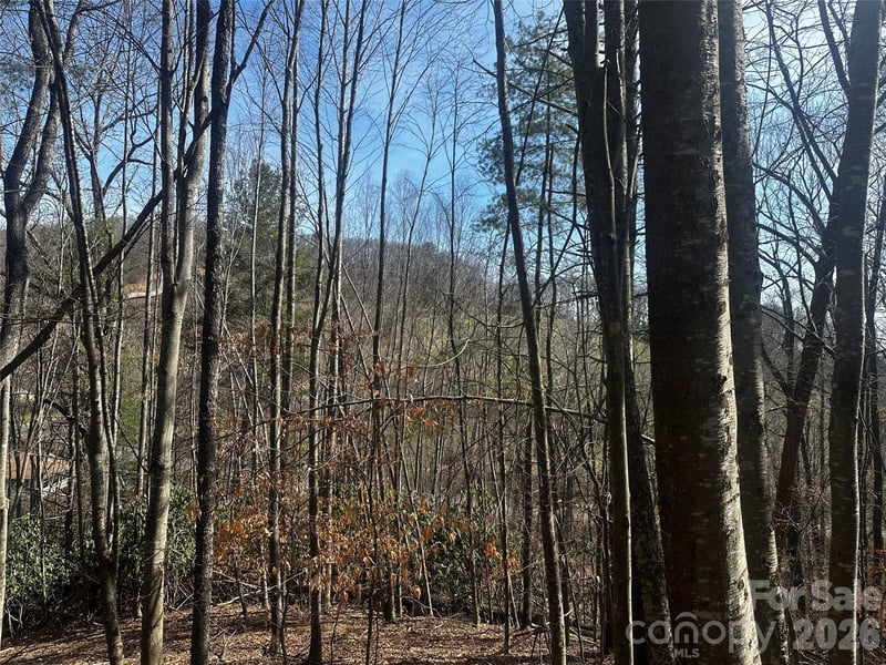 00 Saw Mill Hl, Burnsville, NC 28714