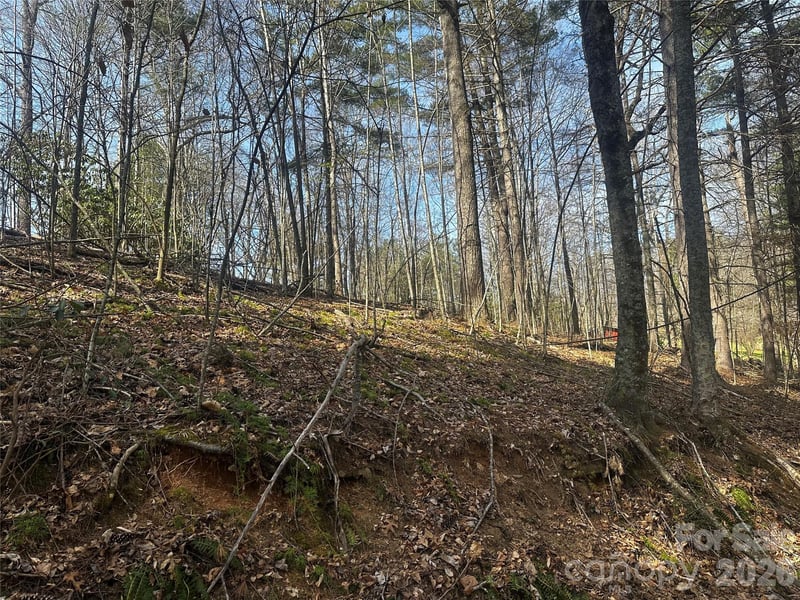00 Saw Mill Hl, Burnsville, NC 28714