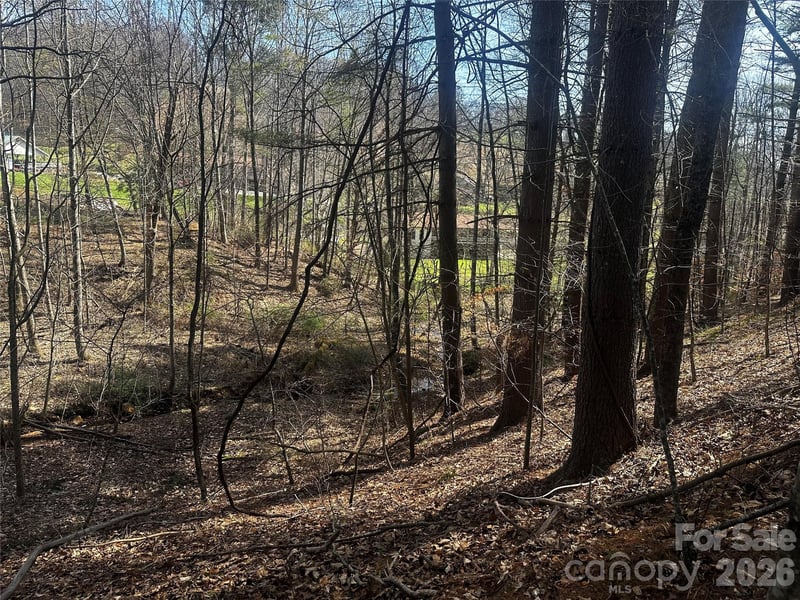 00 Saw Mill Hl, Burnsville, NC 28714