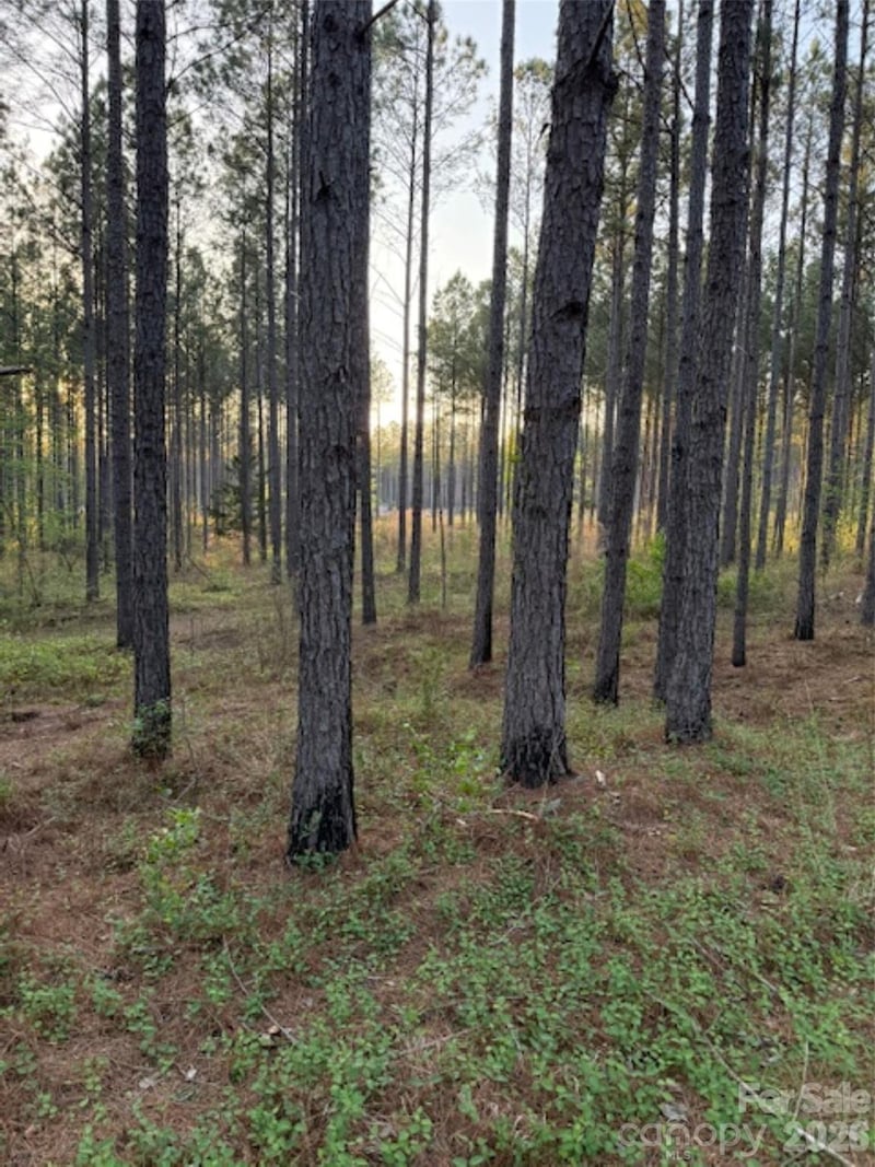 00 Spencer Pointe Rd, Lilesville, NC 28091