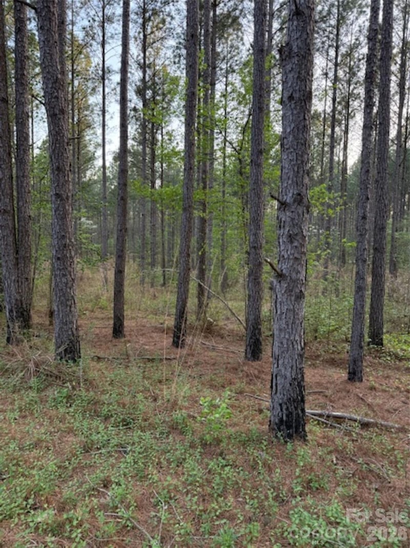 00 Spencer Pointe Rd, Lilesville, NC 28091