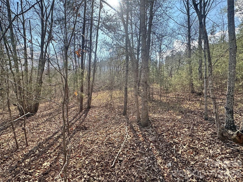 VL Amberwood Pl #17, Rutherfordton, NC 28139