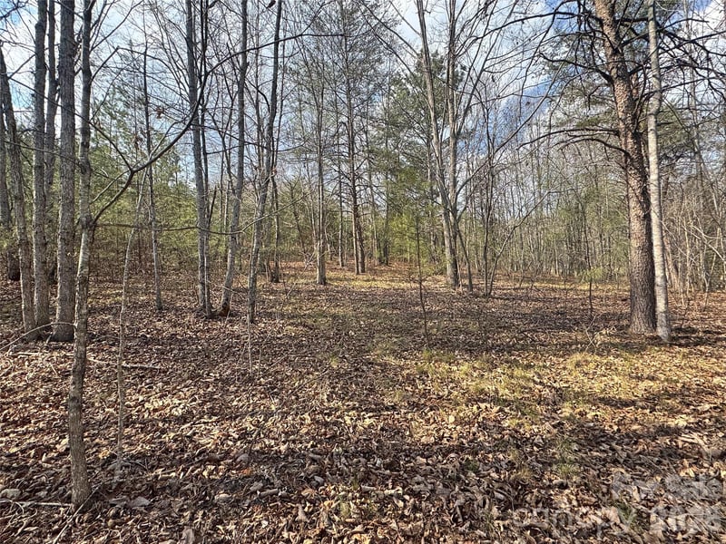 VL Amberwood Pl #17, Rutherfordton, NC 28139