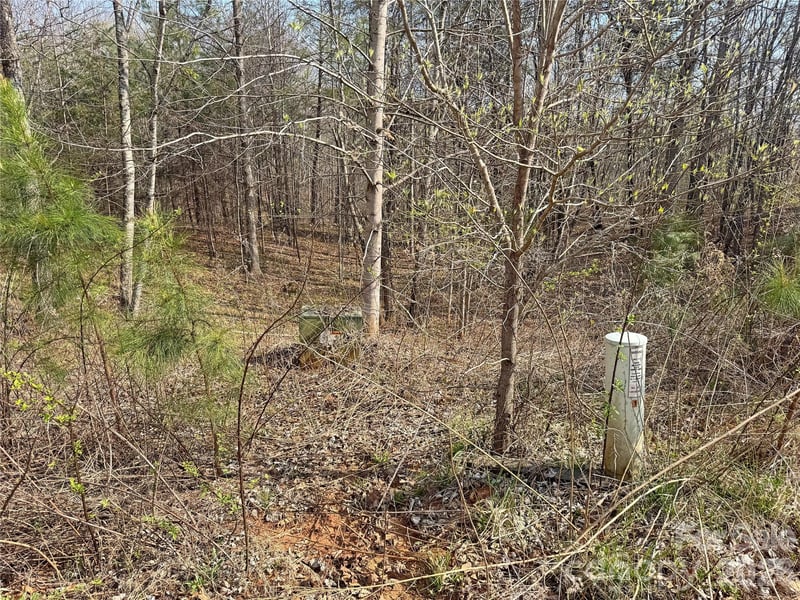 VL Amberwood Pl #17, Rutherfordton, NC 28139