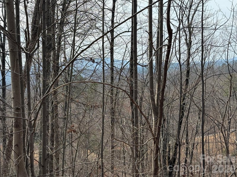 Lot 236 Rock Ledge Dr, Lake Lure, NC 28746