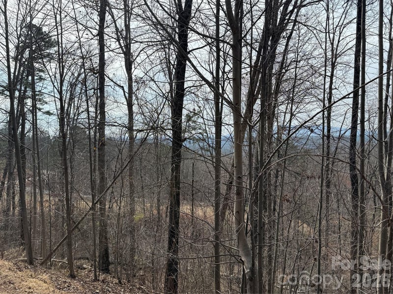 Lot 236 Rock Ledge Dr, Lake Lure, NC 28746