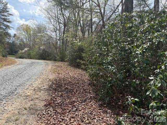 Poodles Way #291, Lake Lure, NC 28746