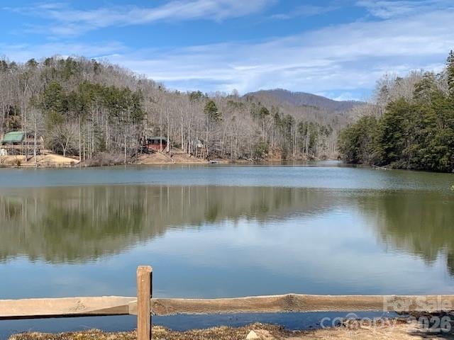 Poodles Way #291, Lake Lure, NC 28746
