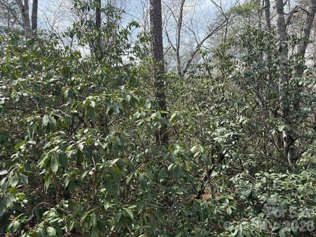 Poodles Way #291, Lake Lure, NC 28746