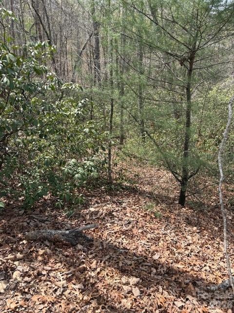 Poodles Way #291, Lake Lure, NC 28746