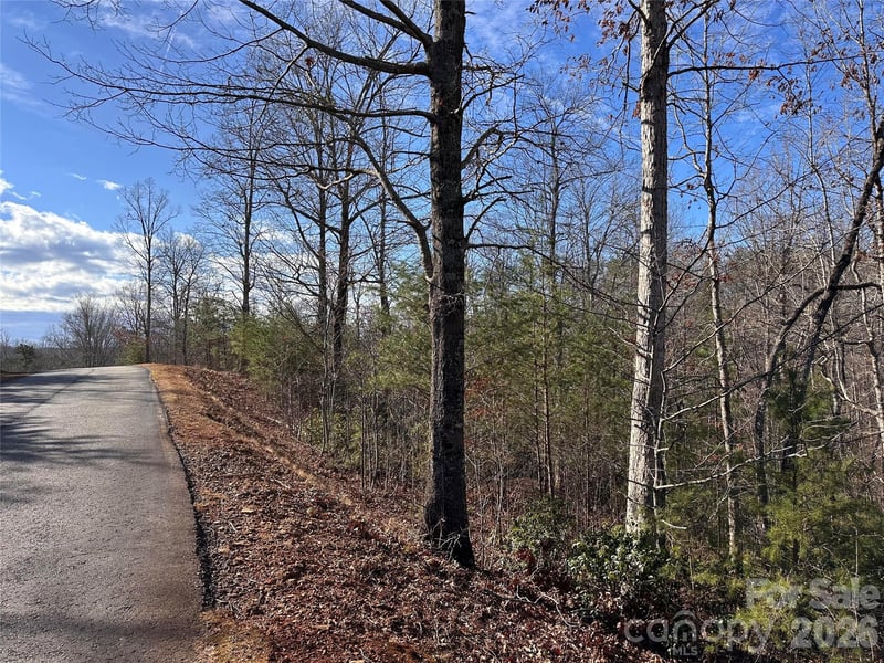 Rock Ledge Dr, Lake Lure, NC 28746