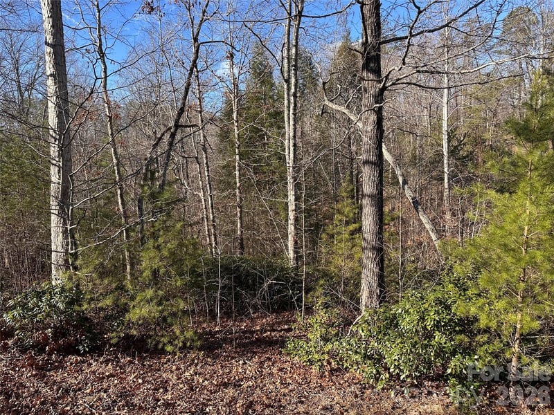 Rock Ledge Dr, Lake Lure, NC 28746