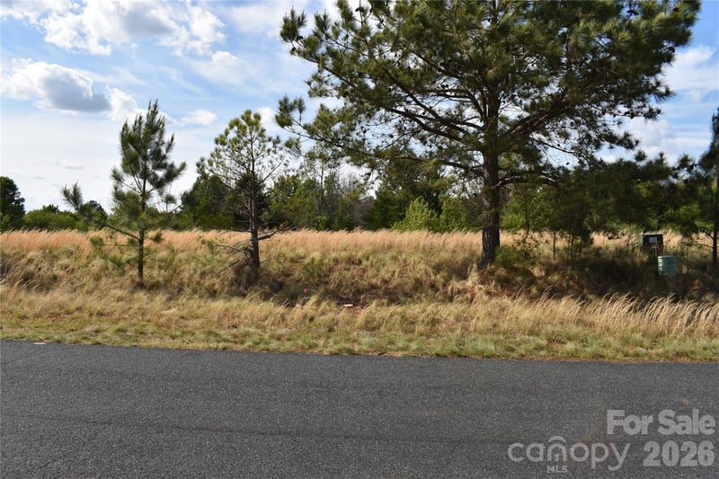 57 Malden Ct, Crouse, NC 28033