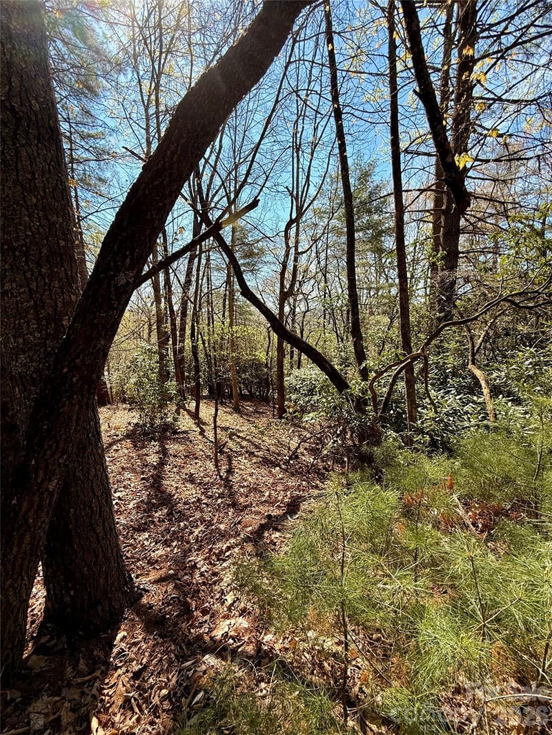 400 Emerald Hills Dr, Penrose, NC 28766