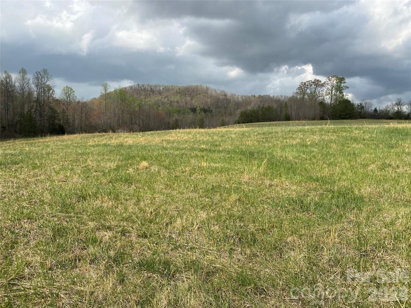 00 Cane Creek Mountain Rd #2, Bostic, NC 28018