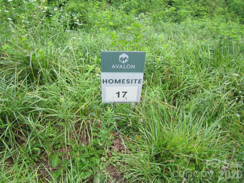 000 Signature Row Blvd Lot 17, Waynesville, NC 28785