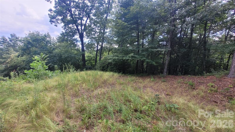 542 - 545A Mckenzie Way #542 & 545, Old Fort, NC 28762