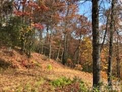 542 - 545A Mckenzie Way #542 & 545, Old Fort, NC 28762