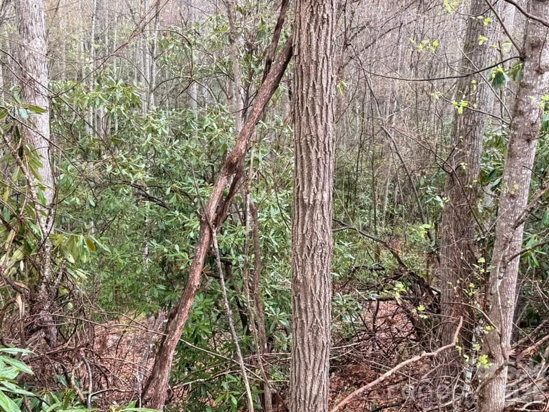 000 Ridgeview Dr, Hendersonville, NC 28791