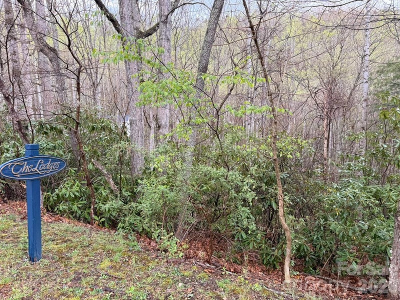 000 Ridgeview Dr, Hendersonville, NC 28791