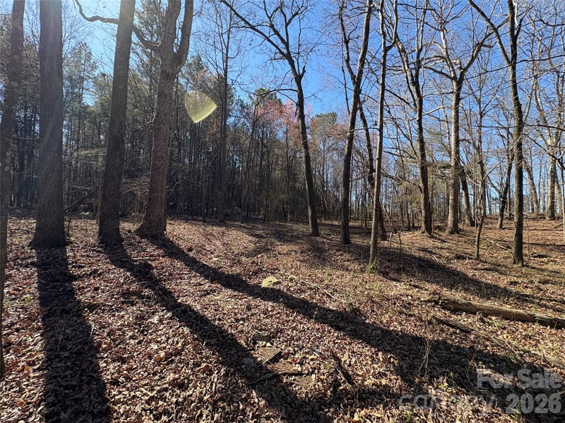 1417 Ellis Griffin Rd, Wingate, NC 28174